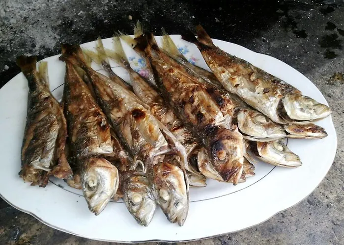 Vendégház Paladina 3*